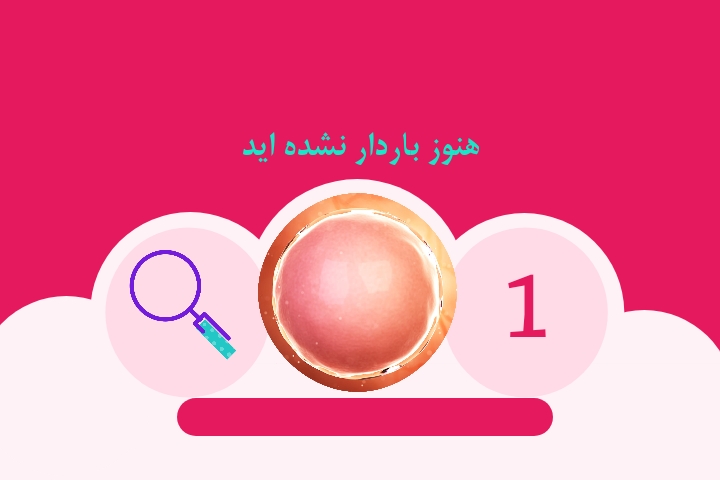 هفته اول و دوم بارداری